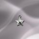 Mini Star Charm