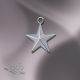 Large Star Charm