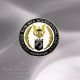 Defense POW/MIA Accounting Agency ID Badge –Small 1.5” Size